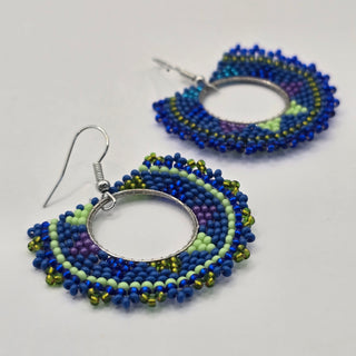 Hula Hoop Earrings